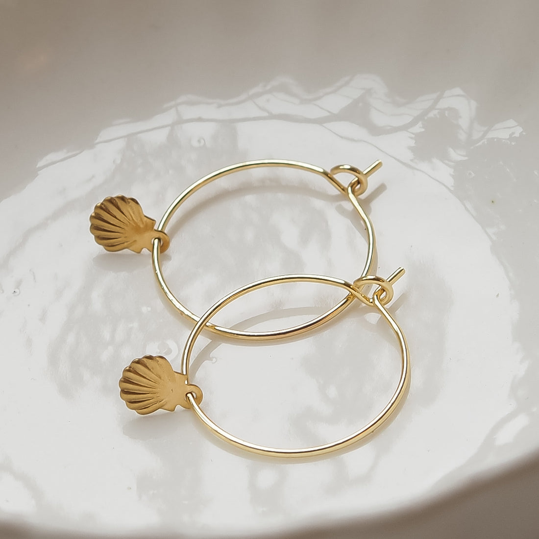 Ohrringe Shell von edel weiss