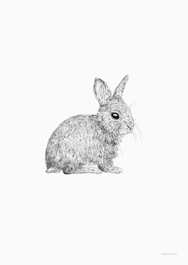 Minikarte Hase von Inkylines