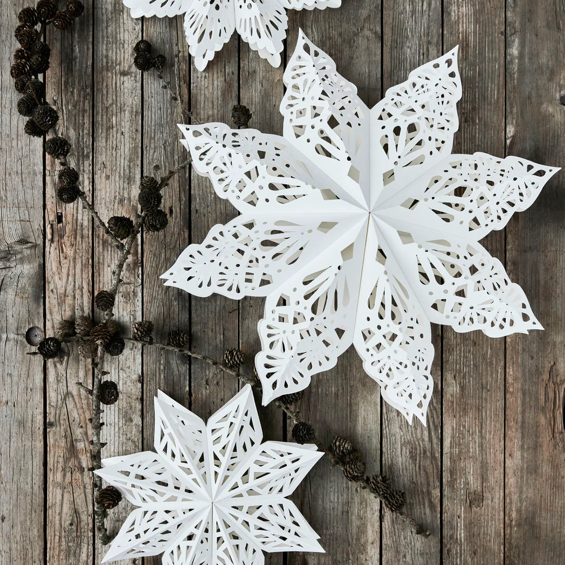 Sterne Lehlo von House Doctor