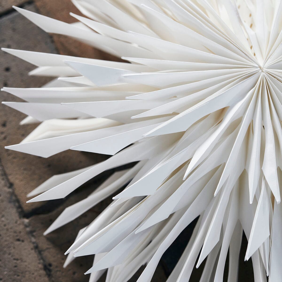 Weihnachtsstern Reef (off-white) von house doctor edel weiss