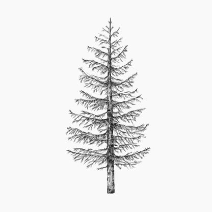 Print Tannenbaum (A6) von inkylines edel weiss