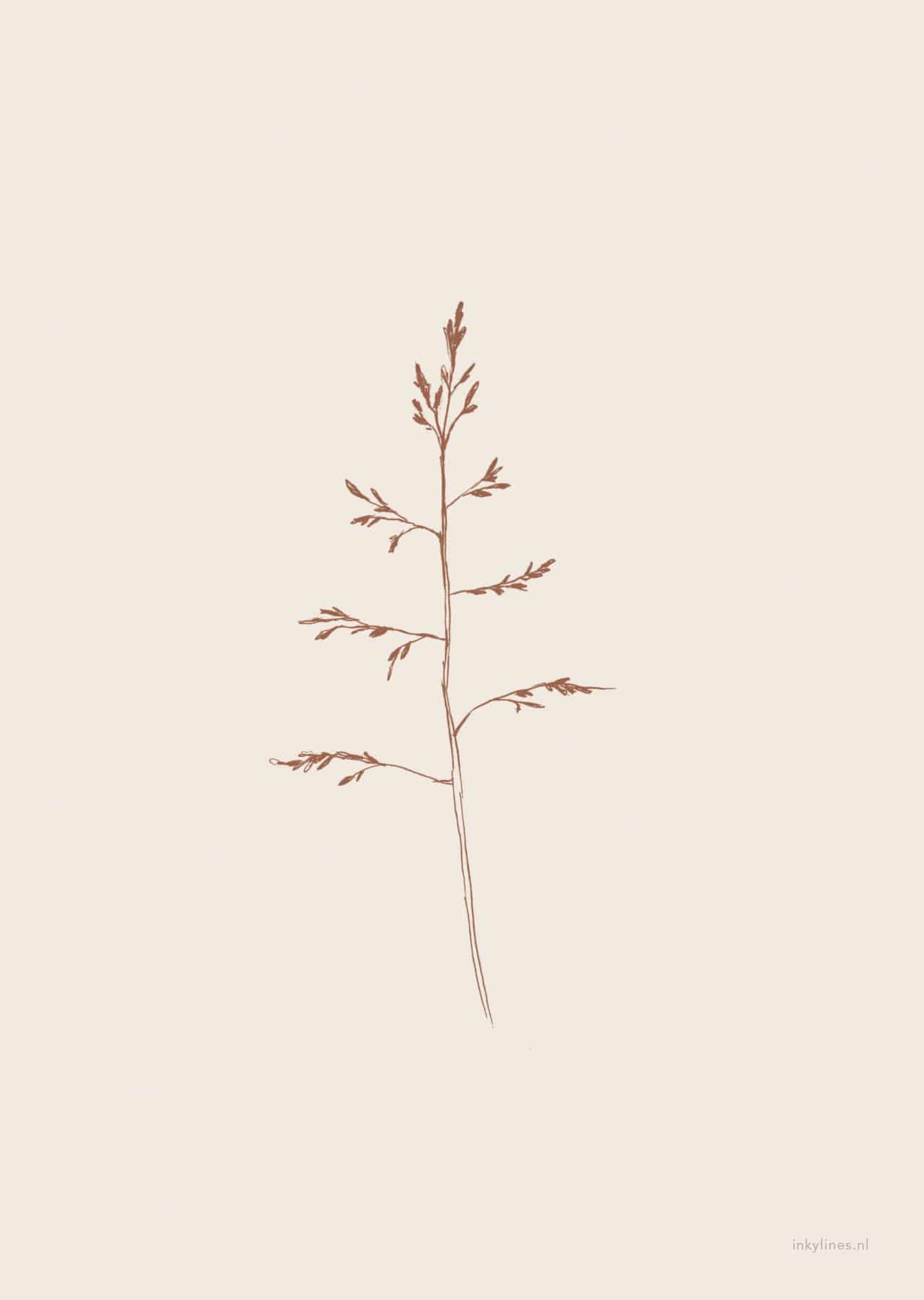 Print Gras (beige) von inkylines edel weiss