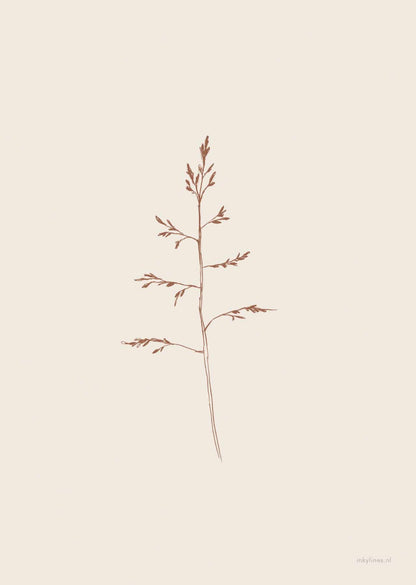Print Gras (beige) von inkylines edel weiss