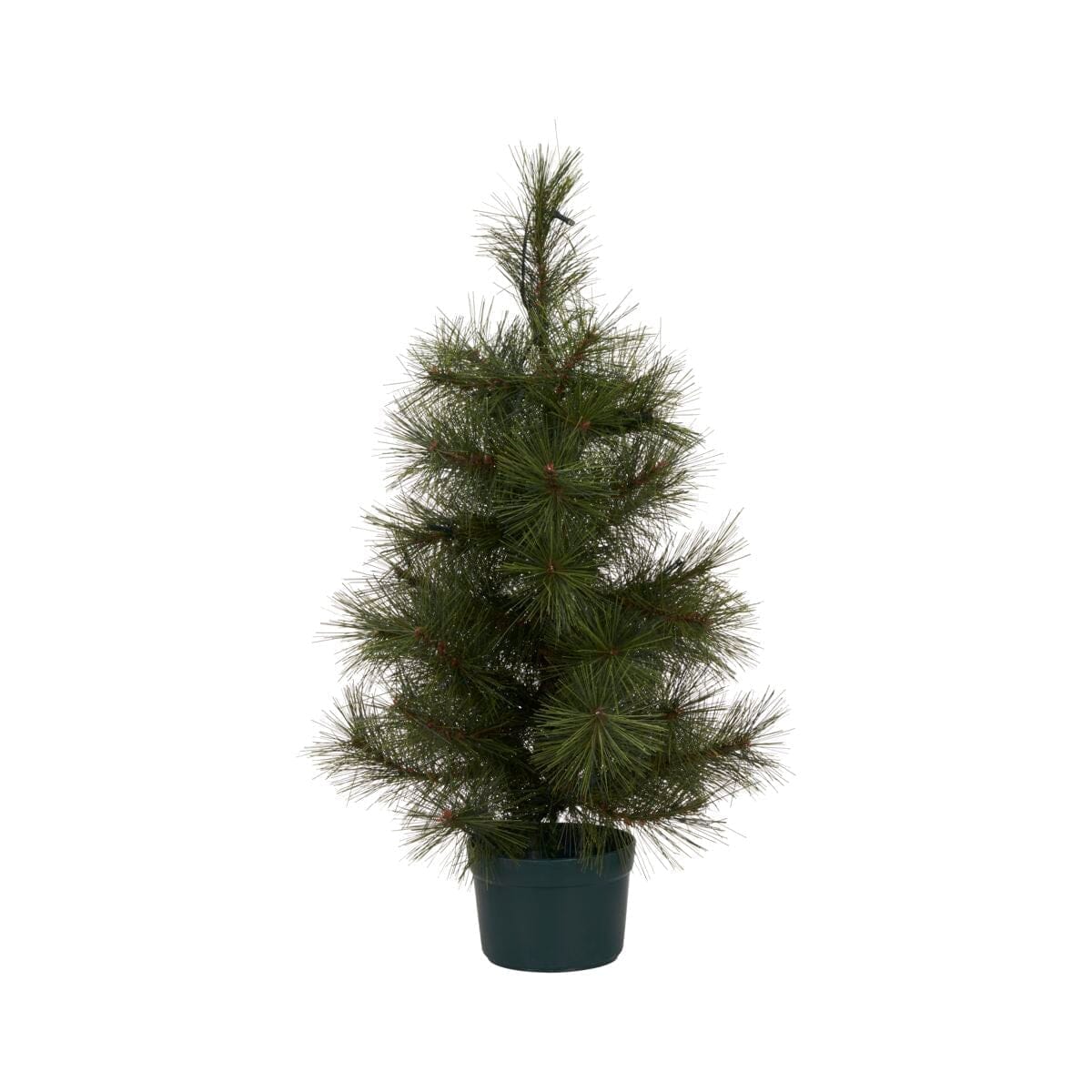 Weihnachtsbaum Pinus von house doctor edel weiss