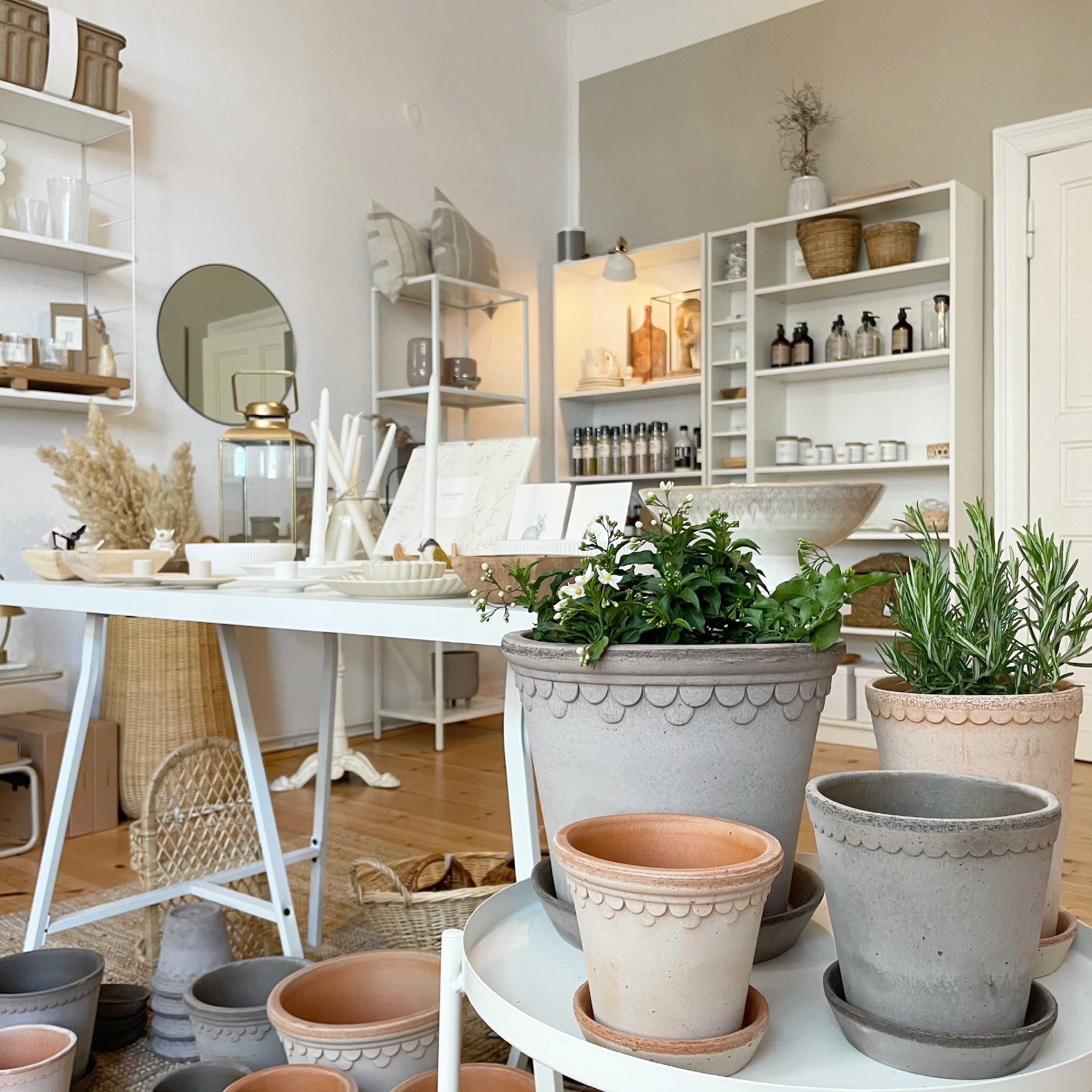 Ansicht edel weiss Store in Berlin